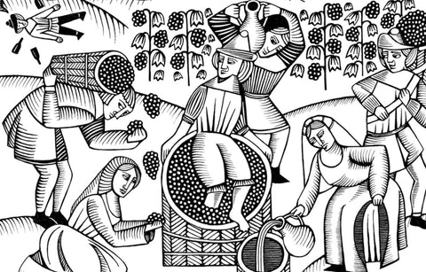 Producer Spotlight: Place of Changing Winds