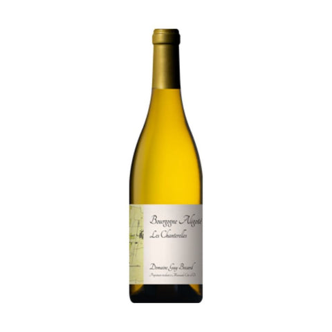Guy Bocard, Bourgogne Aligote, Les Chanterelles