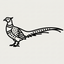 Pheasant Bird Icon