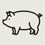 Pig Icon