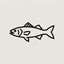 Sea Bass Icon